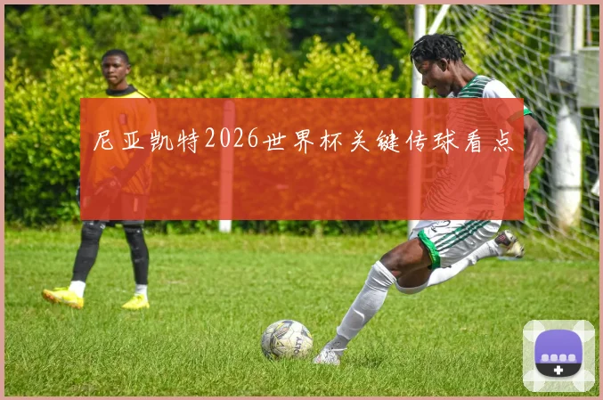 尼亚凯特2026世界杯关键传球看点