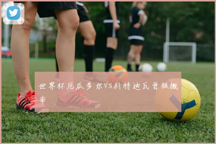 世界杯厄瓜多尔vs科特迪瓦晋级概率