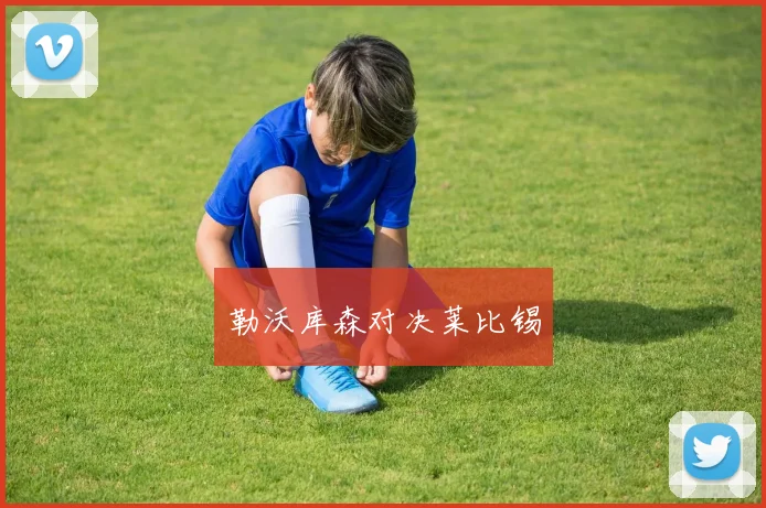 勒沃库森对决莱比锡