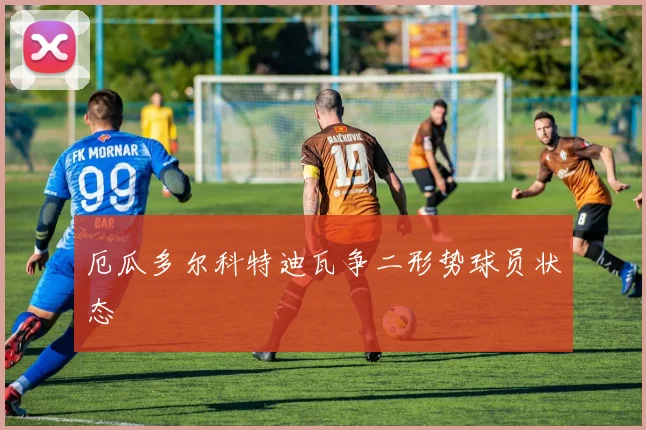 厄瓜多尔科特迪瓦争二形势球员状态