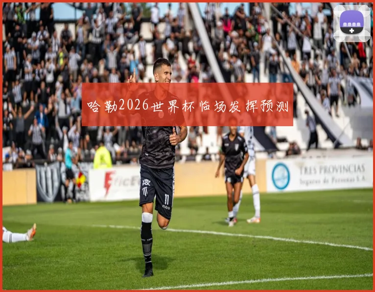 哈勒2026世界杯临场发挥预测